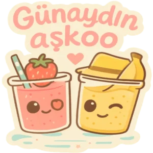 WhatsApp Günlük Sohbet Modu Stickerları Vol.3 – Türkçe WhatsApp sticker paketi