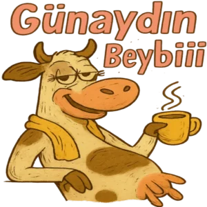 WhatsApp Günlük Sohbet Modu Stickerları Vol.80 – Türkçe WhatsApp sticker paketi