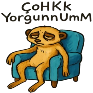 WhatsApp Günlük Sohbet Modu Stickerları Vol.9 – Türkçe WhatsApp sticker paketi