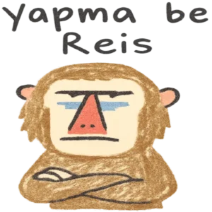 WhatsApp Tepki ve Günlük Stickerlar Vol.52 – Türkçe WhatsApp sticker paketi