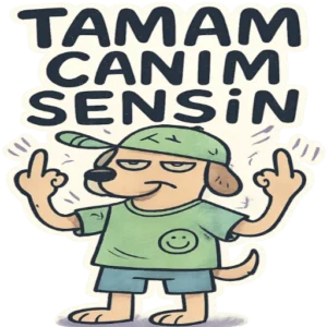 WhatsApp Trip ve Laf Sokma Stickerları Vol.41– Türkçe WhatsApp sticker paketi