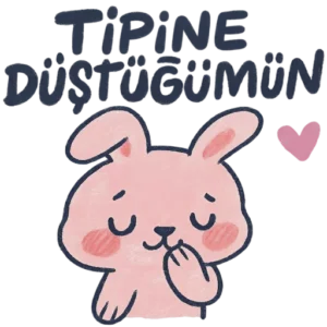 Aşko Kuşko Türkçe aşk stickerları Vol.4 – romantik, komik ve indirilebilir WhatsApp ve Telegram çıkartma paketi