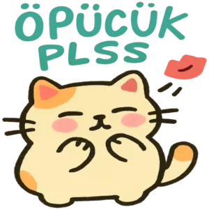 Aşko Kuşko Türkçe aşk stickerları Vol.15 – romantik, komik ve indirilebilir WhatsApp ve Telegram çıkartma paketi