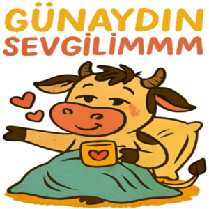 Türkçe Aşk Stickerları Vol.41 – romantik, komik ve indirilebilir WhatsApp ve Telegram çıkartma paketi